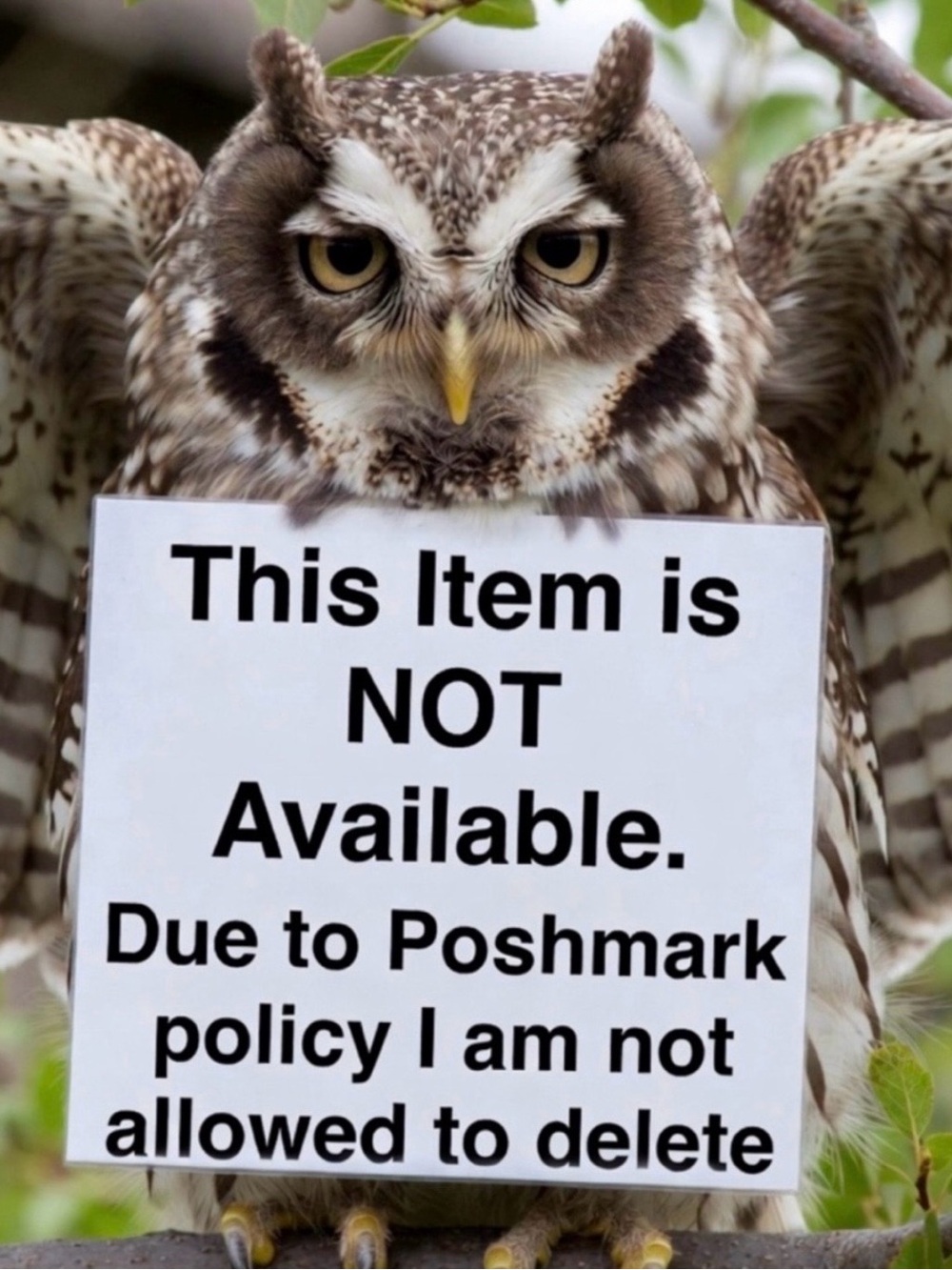 NOT AVAILABLE